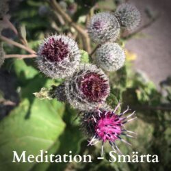 Meditation Smärta - svenska