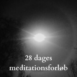 28 dages meditationsforløb - dansk